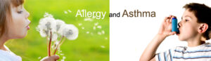 Asthma and Allergies_pest control