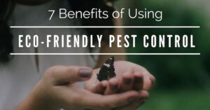  Benefits of Pest Control for the Environment