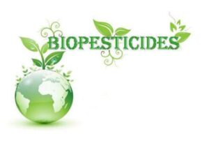 Biopesticides in pest control