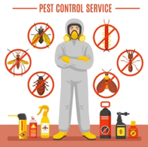 Food Storage for Preventing Pest Infestations