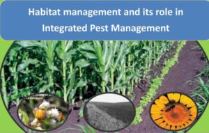 Habitat Management_pest control