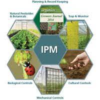 IPM program