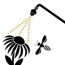 Impact of Pesticides on Pollinators: 