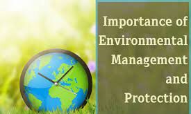 Importance of Environmental Sustainability: