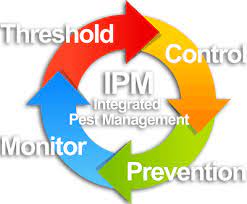 Integrated-Pest-Management-IPM