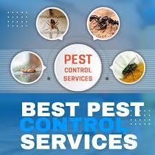 Pest Control Maintenance and Monitoring_pest control