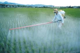 Pesticides Will Always Solve the Problem