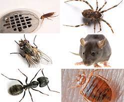 Pests such as rodents, insects, and birds can cause problems