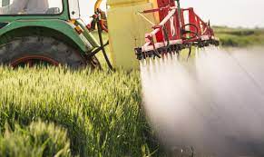 Relying Solely on Chemical Pest Control