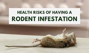 Rodents_health issues