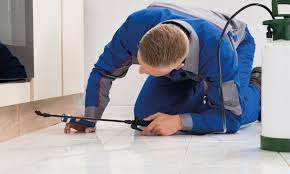 Role of Pest Control Professionals: