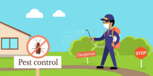 The Role of Pest Control Professionals in the Tourism Industry