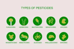 Types of Pesticides: 