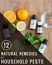 Using Homemade Remedies Without Research