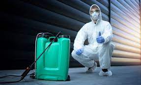 Work with a Professional Pest Control Service