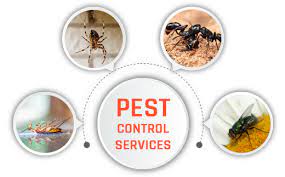 customer service offered by a pest control company