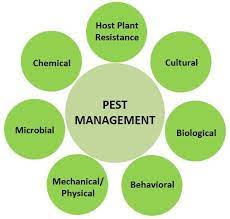 effective pest control strategies