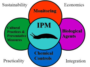 integrated-pest-management-Pest-Control