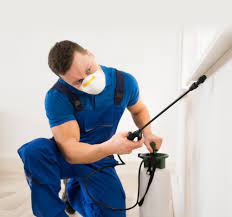 Pest control professionals