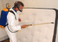 The One and Only Pest Control Solution for Bed Bugs