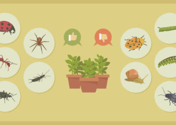 The Top 10 Plants In Your House That Can Help Get Rid Of Pests