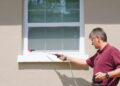 How Pest Control Solves Common Home Problems