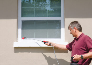 How Pest Control Solves Common Home Problems