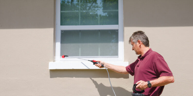 How Pest Control Solves Common Home Problems