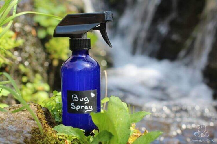 6 DIY Products to Keep Bugs Away Without Chemicals