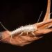 Common Pests That are Often Overlooked Silverfish and Pantry Pests.