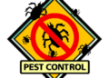 Comprehensive Pest Control Plan for Your Home or Business.