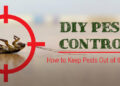DIY-Pest-Control-Methods-for-Homeowners