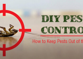 DIY-Pest-Control-Methods-for-Homeowners