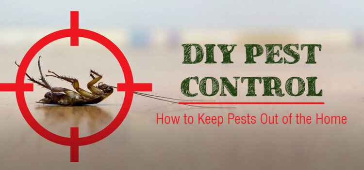 DIY-Pest-Control-Methods-for-Homeowners