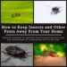 Effective Ways to Prevent Pest Infestations Before They Occur.