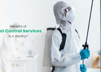 Hiring a Professional Pest Control Service