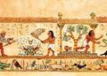 History-of-Pest-Control-including-Ancient-and-Traditional-Methods