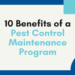 Importance of Ongoing Pest Control Maintenance