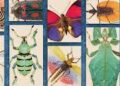 Interesting and Unusual Pest-Related News Stories from Around the World.