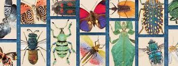 Interesting and Unusual Pest-Related News Stories from Around the World.