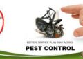 Latest Pest Control Products and Services