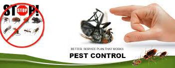 Latest Pest Control Products and Services