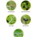 Pest Control Practices Differ around the World