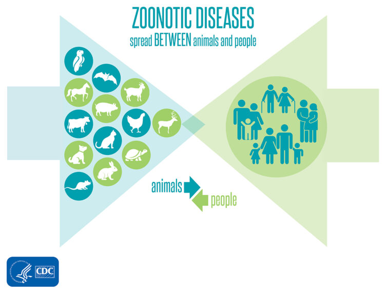 Spread of Infectious Diseases, Including Zoonotic Diseases.