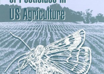 Strategies for Preventing Future Pest Problems