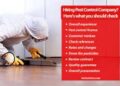 The-importance-of-hiring-a-professional-pest-control-company.
