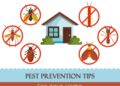 Tips-for-maintaining-a-pest-free-environment-in-your-home