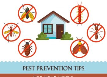 Tips-for-maintaining-a-pest-free-environment-in-your-home