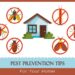 Tips-for-maintaining-a-pest-free-environment-in-your-home
