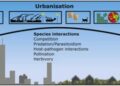 Urbanization on Pest Populations and Control